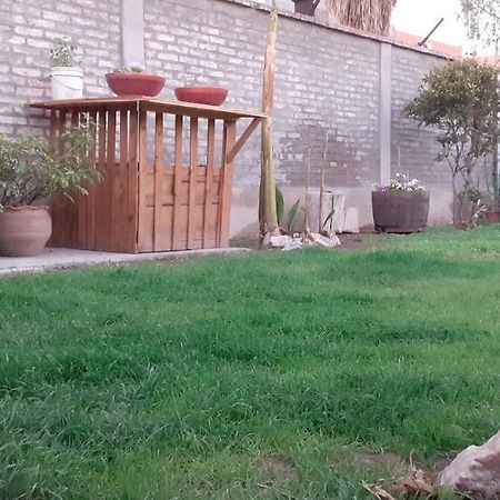 Oliwine Hostel مايبو المظهر الخارجي الصورة